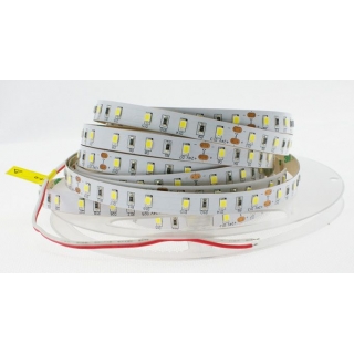 Taśma LED 60 2835 PROF CW 6W 1m